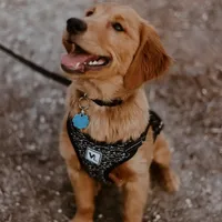 processed/0df3ec12-6783-49d8-ba90-26d392340c9d/facility/de0f8902-baf4-41f6-85d7-2876319a1c5c