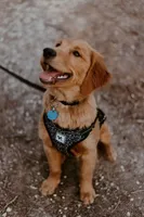 processed/0df3ec12-6783-49d8-ba90-26d392340c9d/facility/de0f8902-baf4-41f6-85d7-2876319a1c5c