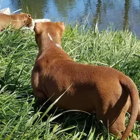 processed/0df6fdb9-ce0b-4481-a6c8-2c7d079badaf/facility/2fe426cc-85ee-4f04-9a90-aa5aeb38cd32