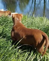 processed/0df6fdb9-ce0b-4481-a6c8-2c7d079badaf/facility/2fe426cc-85ee-4f04-9a90-aa5aeb38cd32