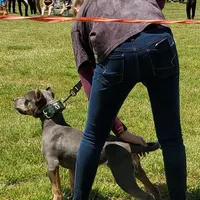 processed/0df6fdb9-ce0b-4481-a6c8-2c7d079badaf/facility/53e1944a-84b1-447a-9732-c828ca780577