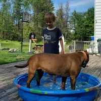 processed/0df6fdb9-ce0b-4481-a6c8-2c7d079badaf/facility/88f9ca6e-7436-477a-9c89-3931e61f4c99