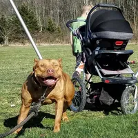 processed/0df6fdb9-ce0b-4481-a6c8-2c7d079badaf/facility/9c17835c-de7c-4717-8393-5170b6102217