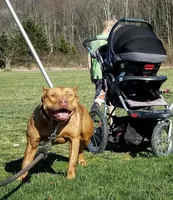 processed/0df6fdb9-ce0b-4481-a6c8-2c7d079badaf/facility/9c17835c-de7c-4717-8393-5170b6102217