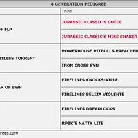 Jordan Burroughs, a male American Pit Bull Terrier for sale in Newfoundland, PA – Photo 9 of 9