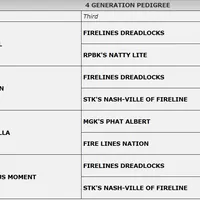 Tyler Kaysak, a male American Bully for sale in Newfoundland, PA – Photo 7 of 7
