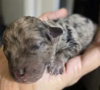 processed/0e00fa76-fad5-4952-b635-574e5fe3d706/listing/74ff1922-e77b-4bda-a6a8-9fa3dcce8010/21a7ba9e-cfc9-4667-8b06-8302dcf0f1f3