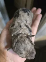 processed/0e00fa76-fad5-4952-b635-574e5fe3d706/listing/74ff1922-e77b-4bda-a6a8-9fa3dcce8010/63c5264e-78de-4904-845e-996fd3f9a461