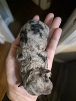 processed/0e00fa76-fad5-4952-b635-574e5fe3d706/listing/74ff1922-e77b-4bda-a6a8-9fa3dcce8010/8c15d930-207d-4943-8f00-6991a56e955a