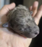 processed/0e00fa76-fad5-4952-b635-574e5fe3d706/listing/74ff1922-e77b-4bda-a6a8-9fa3dcce8010/c8d5ef79-c956-472d-9384-14d24e0add14