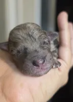 processed/0e00fa76-fad5-4952-b635-574e5fe3d706/listing/74ff1922-e77b-4bda-a6a8-9fa3dcce8010/de7b9774-5d1b-4e89-8aeb-3312e652423b