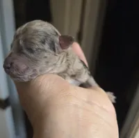 processed/0e00fa76-fad5-4952-b635-574e5fe3d706/listing/74ff1922-e77b-4bda-a6a8-9fa3dcce8010/ea2c8556-0647-4630-ae6b-2c3ceec364f4