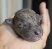 processed/0e00fa76-fad5-4952-b635-574e5fe3d706/listing/74ff1922-e77b-4bda-a6a8-9fa3dcce8010/fc3df5d6-56d0-4a7c-b511-17b0f81f4a81