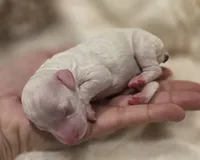 processed/0e00fa76-fad5-4952-b635-574e5fe3d706/listing/e0f4956e-bc7c-4aa2-8e0b-cfe1983e0abd/df787c52-c388-4610-a1ce-3471faeffadd