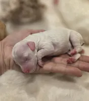 processed/0e00fa76-fad5-4952-b635-574e5fe3d706/listing/e0f4956e-bc7c-4aa2-8e0b-cfe1983e0abd/ff5daf1a-379b-423d-b23f-9f62e5cb0e39