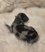 processed/0e00fa76-fad5-4952-b635-574e5fe3d706/listing/f1283fe7-e54f-4da4-ad1d-cff939418cb7/52eb0ed4-e330-4d91-a1e4-aad864e89753