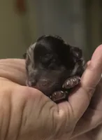 processed/0e00fa76-fad5-4952-b635-574e5fe3d706/listing/f1283fe7-e54f-4da4-ad1d-cff939418cb7/74b95aad-281a-4c64-8287-0bd0b22053da