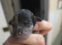 processed/0e00fa76-fad5-4952-b635-574e5fe3d706/listing/f1283fe7-e54f-4da4-ad1d-cff939418cb7/b943df9d-42f0-4a50-b99d-3a23bd799bd2