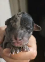 processed/0e00fa76-fad5-4952-b635-574e5fe3d706/listing/f1283fe7-e54f-4da4-ad1d-cff939418cb7/da132a39-2adb-49d6-a34e-292673536fa0