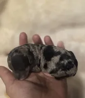 processed/0e00fa76-fad5-4952-b635-574e5fe3d706/listing/f1283fe7-e54f-4da4-ad1d-cff939418cb7/e459622f-9210-4cb5-9ad6-7cad124369ba