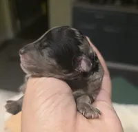 processed/0e00fa76-fad5-4952-b635-574e5fe3d706/listing/f1283fe7-e54f-4da4-ad1d-cff939418cb7/fd2d8918-46dc-4cf9-94b3-d03eca784c9a