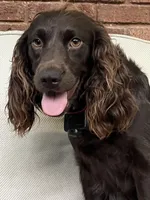 processed/0e085e10-968e-4f78-9e1f-2a79b2a9b8da/facility/2564b8ed-0f5e-4239-ae98-2f9f90682ce7