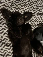 processed/0e085e10-968e-4f78-9e1f-2a79b2a9b8da/facility/37f481c6-5f37-41cc-aee6-a21836b8b4f5