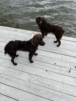 processed/0e085e10-968e-4f78-9e1f-2a79b2a9b8da/facility/4006afbf-0194-4ad0-bca6-069da30cea53