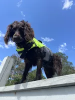 processed/0e085e10-968e-4f78-9e1f-2a79b2a9b8da/facility/676266ed-0d4b-459e-a063-88439ebbe6cc