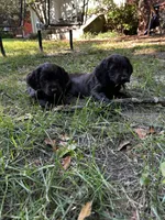 processed/0e085e10-968e-4f78-9e1f-2a79b2a9b8da/facility/7f08e471-d94b-40d4-a5cf-42ff27f5eaa7