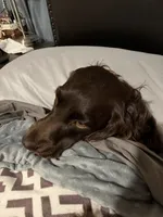 processed/0e085e10-968e-4f78-9e1f-2a79b2a9b8da/facility/d1bd2fa9-a139-4f22-9945-de00b24ca995