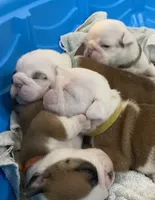 processed/0e102595-cba8-407e-b99d-ddfffa070066/facility/409a75d1-8cc1-44de-b2b8-4a798442ac52