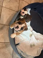 processed/0e102595-cba8-407e-b99d-ddfffa070066/listing/5f6d6d6d-d3e6-4f04-bf5a-8079c9bc30fa/824b5937-c347-409f-af2f-f68f1e5ab6ec