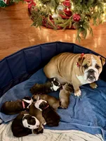 processed/0e102595-cba8-407e-b99d-ddfffa070066/listing/5f6d6d6d-d3e6-4f04-bf5a-8079c9bc30fa/832b015e-7a25-4cd2-a67a-891ca2b7c890