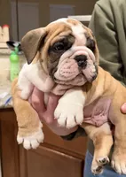 processed/0e102595-cba8-407e-b99d-ddfffa070066/listing/5f6d6d6d-d3e6-4f04-bf5a-8079c9bc30fa/d0cf3e4e-878a-4103-93ab-62bec3b029ff