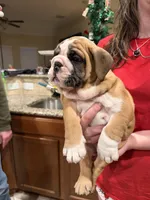 processed/0e102595-cba8-407e-b99d-ddfffa070066/listing/5f6d6d6d-d3e6-4f04-bf5a-8079c9bc30fa/e381b009-aa69-420f-8100-85b49abd9f5e