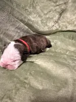 processed/0e102595-cba8-407e-b99d-ddfffa070066/listing/d4118c26-4c64-4feb-8e03-f5d4a2d6c1bb/05e50120-3828-4b1b-9279-07f71e301343