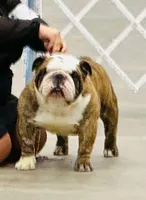 processed/0e102595-cba8-407e-b99d-ddfffa070066/listing/d4118c26-4c64-4feb-8e03-f5d4a2d6c1bb/6c05e2a0-1e0f-4dcc-a6ca-773d67df52d8