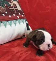 processed/0e102595-cba8-407e-b99d-ddfffa070066/listing/d4118c26-4c64-4feb-8e03-f5d4a2d6c1bb/9613c12f-e3a9-4fca-b688-ea5df7e67856