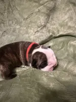 processed/0e102595-cba8-407e-b99d-ddfffa070066/listing/d4118c26-4c64-4feb-8e03-f5d4a2d6c1bb/e1946f8f-6847-465c-a532-be959eb12f86