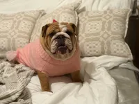 processed/0e102595-cba8-407e-b99d-ddfffa070066/listing/d4118c26-4c64-4feb-8e03-f5d4a2d6c1bb/e39d3d4b-7122-468c-a989-99e782816b40