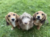 processed/0e13b135-a602-4542-ad96-e0c4b27bfbae/facility/0f6e34b1-f9bb-4fd5-a43e-0a822649579c