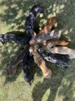 processed/0e13b135-a602-4542-ad96-e0c4b27bfbae/facility/3a2d9b6f-b81d-444c-bc01-7c9f7827416f