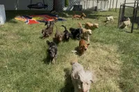 processed/0e13b135-a602-4542-ad96-e0c4b27bfbae/facility/6f69de21-0dc4-447d-8c04-06f7ffc6b4f4