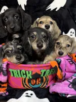 processed/0e13b135-a602-4542-ad96-e0c4b27bfbae/facility/74e669f5-529d-4c8f-8059-94223eadb0f0