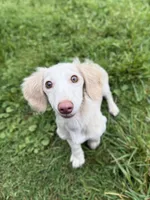 processed/0e13b135-a602-4542-ad96-e0c4b27bfbae/facility/84a160f6-3ce2-4d4c-a17a-86a6a9ef35f1