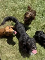 processed/0e13b135-a602-4542-ad96-e0c4b27bfbae/facility/af0721b0-eaf4-4758-b7e3-e08beed45e71