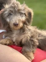 processed/0e13b135-a602-4542-ad96-e0c4b27bfbae/facility/d41e3c2e-e798-4f93-9c89-ec653a7cb711