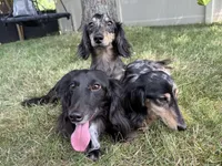 processed/0e13b135-a602-4542-ad96-e0c4b27bfbae/facility/d829c23c-3f7a-4bc6-89ec-cb1bf625a8bb