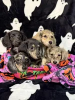 processed/0e13b135-a602-4542-ad96-e0c4b27bfbae/facility/eac8f2e3-6ddb-4f9e-a07e-482378446512